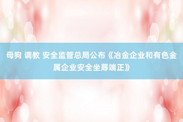 母狗 调教 安全监管总局公布《冶金企业和有色金属企业安全坐蓐端正》