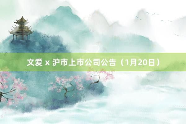 文爱 x 沪市上市公司公告（1月20日）