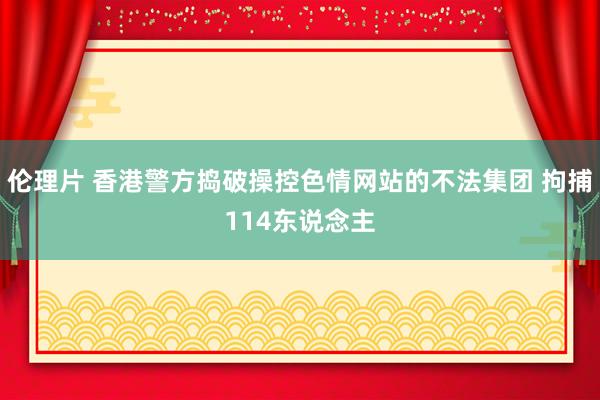 伦理片 香港警方捣破操控色情网站的不法集团 拘捕114东说念主