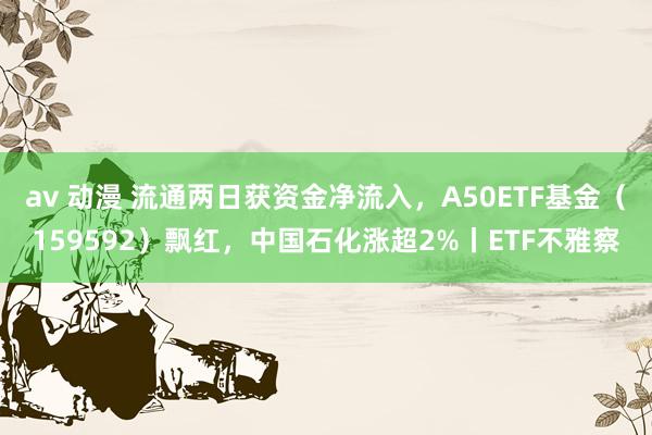 av 动漫 流通两日获资金净流入，A50ETF基金（159592）飘红，中国石化涨超2%丨ETF不雅察