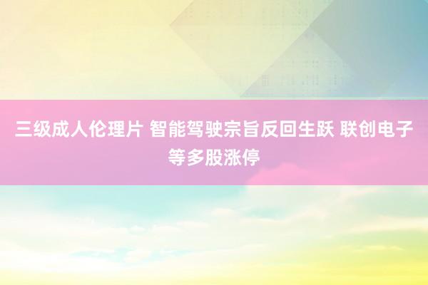 三级成人伦理片 智能驾驶宗旨反回生跃 联创电子等多股涨停