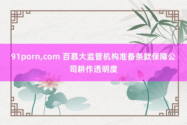 91porn，com 百慕大监管机构准备条款保障公司耕作透明度