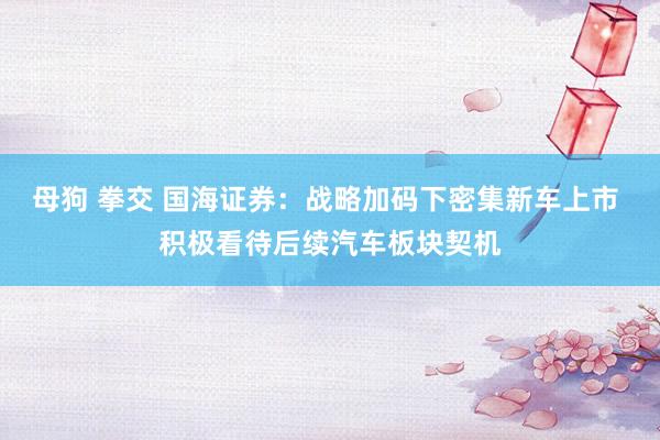 母狗 拳交 国海证券：战略加码下密集新车上市 积极看待后续汽车板块契机