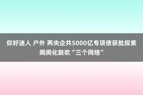 你好迷人 户外 两央企共5000亿专项债获批探索阛阓化鼓吹“三个网络”