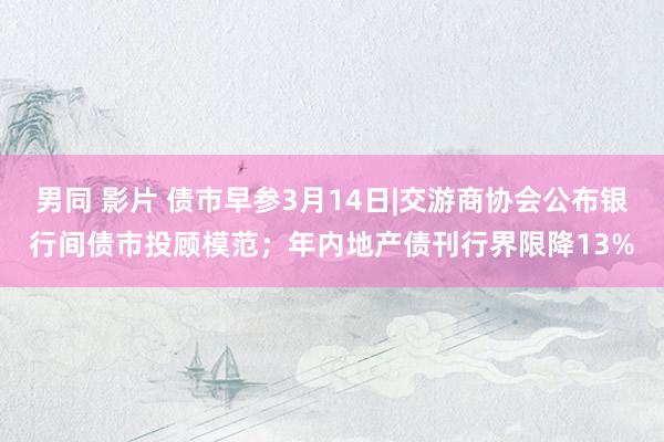 男同 影片 债市早参3月14日|交游商协会公布银行间债市投顾模范；年内地产债刊行界限降13%